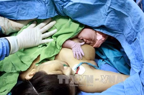 Dân số Việt Nam vẫn ổn định, chưa vượt 92 triệu người ảnh 1