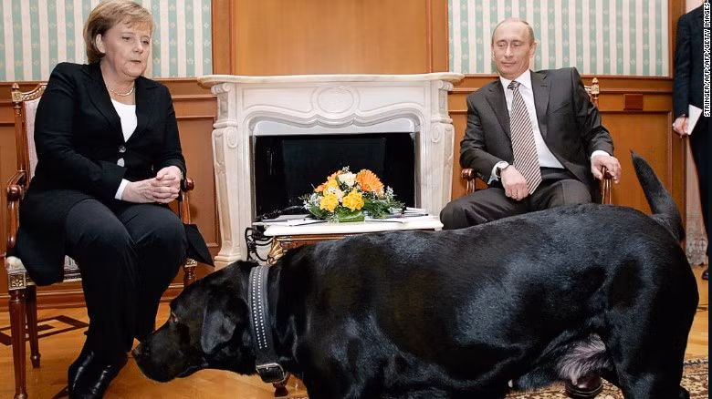 Ông Putin không dùng chó cưng dọa bà Merkel ảnh 1