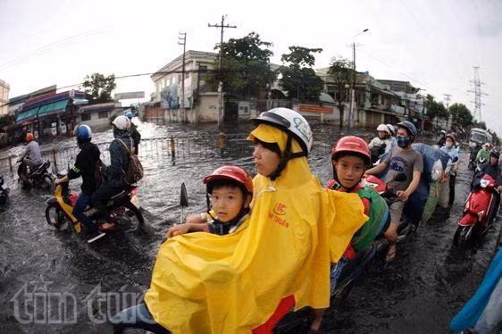 Sau mưa lớn, đường Sài Gòn ngập sâu, giao thông hỗn loạn ảnh 6