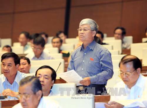 Đại biểu và cử tri mong chờ ở các Tư lệnh ngành ảnh 2