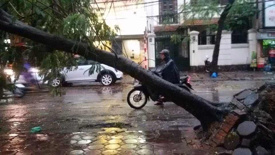 Hà Nội hỗn loạn sau dông lốc, 1 người chết, 3 bị thương ảnh 17