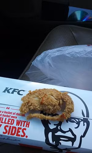Ớn lạnh gà KFC là... chuột chiên giòn ảnh 2