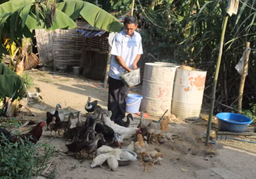 Ông Dánh làm kinh tế giỏi ảnh 1