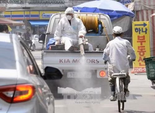 Thêm 3 người Hàn Quốc chết do MERS ảnh 1