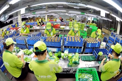 Tại sao số liệu xuất nhập khẩu của Việt Nam chênh Trung Quốc? ảnh 1