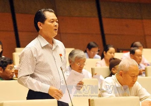 Phải xử lý đến nơi đến chốn vụ chặt cây xanh Hà Nội ảnh 1