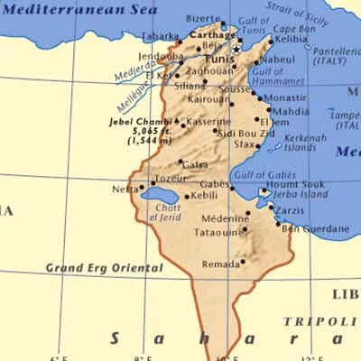 Tunisia: Tai nạn tàu hoả, hơn 80 người thương vong ảnh 1