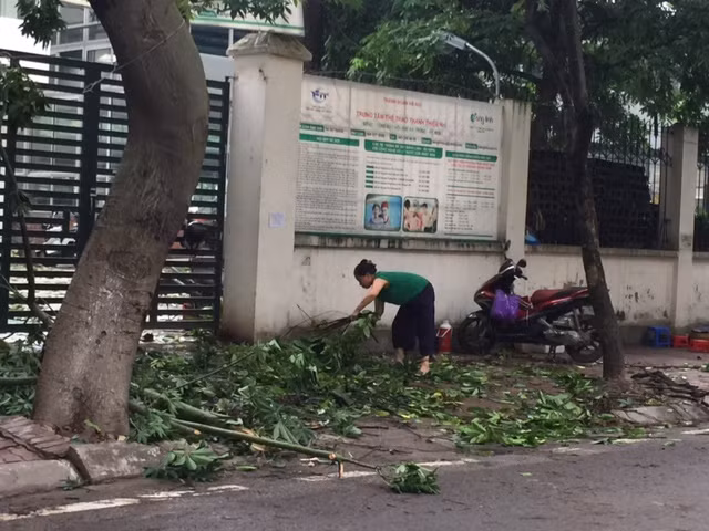Hà Nội khẩn trương dọn cây đổ sau dông lốc ảnh 4