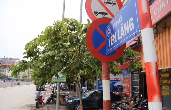 'Bó tay' tìm số nhà ở phố Yên Lãng, Hà Nội ảnh 1