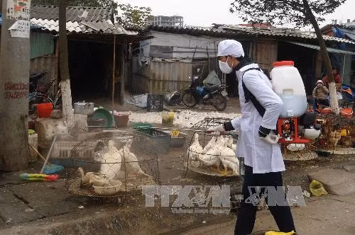 Kịch bản khi phát hiện ca bệnh đầu tiên nhiễm cúm gia cầm ảnh 1