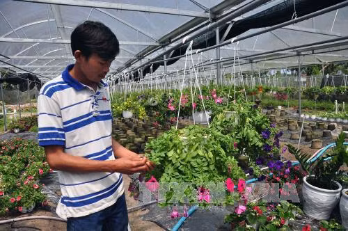 Gian nan doanh nghiệp khởi nghiệp - Bài 1 ảnh 2