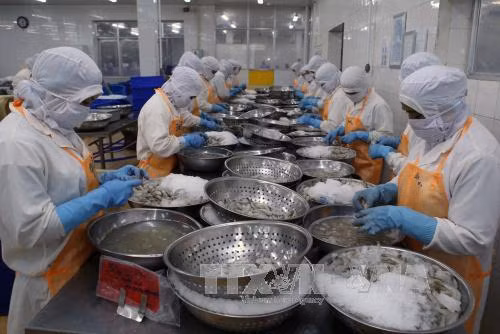 Xuất khẩu thủy sản ước đạt 6,4 tỷ USD ảnh 1