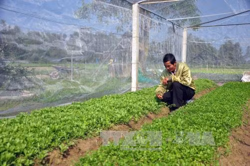 Lãi suất cho nông nghiệp công nghệ cao có thể dưới 7%/năm ảnh 1