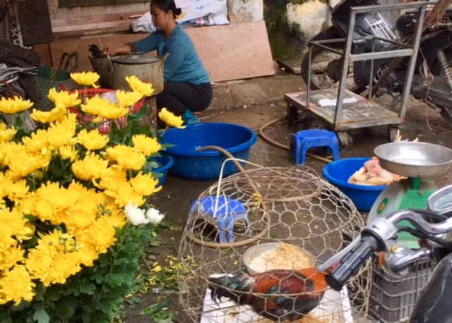 Vô tư giết mổ gia cầm tại chợ trong mùa dịch cúm ảnh 1