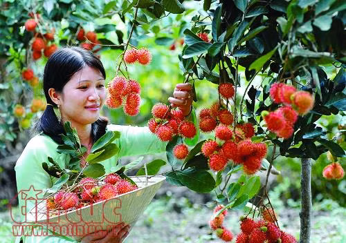 5 món quà ý nghĩa dành tặng phụ nữ ngày 8/3 ảnh 4