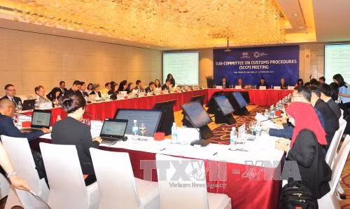 APEC 2017: Tiếp tục cuộc họp của các nhóm công tác và tiểu ban ảnh 1
