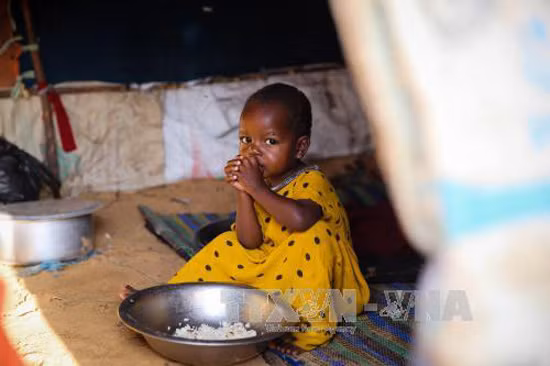 Somalia tuyên bố tình trạng 'thiên tai quốc gia' do hạn hán ảnh 1