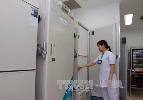 Hồng cầu lắng đông lạnh - phương pháp dự trữ nguồn máu hiếm mới ảnh 3