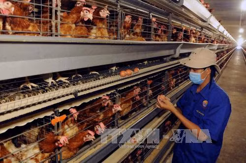 Gian nan doanh nghiệp khởi nghiệp - Bài 2 ảnh 1