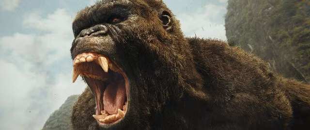 Lộ clip King Kong chiến đấu quái vật gớm ghiếc trên đầm nước Ninh Bình ảnh 3