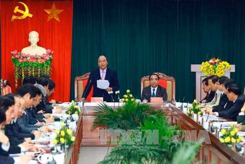 Kinh tế lâm nghiệp là lối ra cho Tuyên Quang ảnh 1