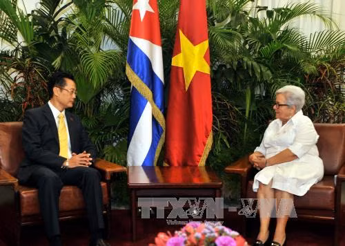 Phó Chủ tịch Cuba tin tưởng quan hệ với Việt Nam sẽ vững tiến ảnh 1