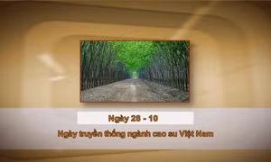 Khoảnh khắc & sự kiện ngày 28/10