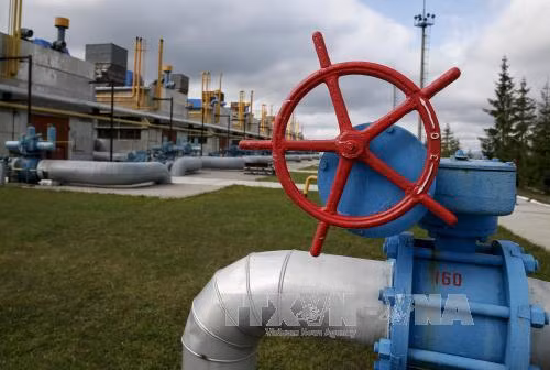 Ukraine có thể lại mua khí đốt của Nga ảnh 1