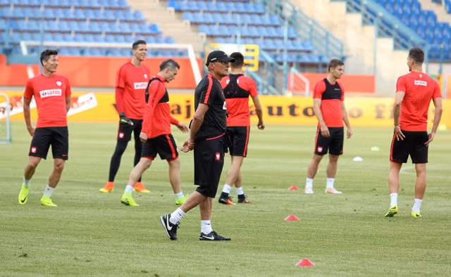 Những"chú ngựa ô" của Euro 2016 ảnh 2