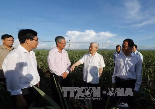 Tổng bí thư Nguyễn Phú Trọng làm việc tại Tây Ninh ảnh 2