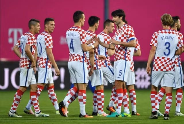 Những"chú ngựa ô" của Euro 2016 ảnh 1