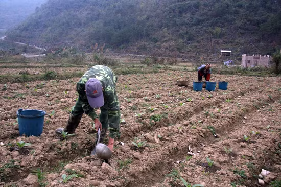 Cao Bằng quyết tâm giảm nghèo bền vững ảnh 1