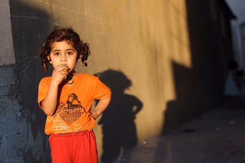 Gaza, không chỉ có máu ảnh 8