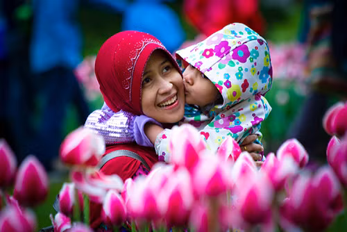 Rực rỡ Lễ hội hoa tulip lớn nhất thế giới ảnh 7