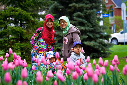 Rực rỡ Lễ hội hoa tulip lớn nhất thế giới ảnh 6