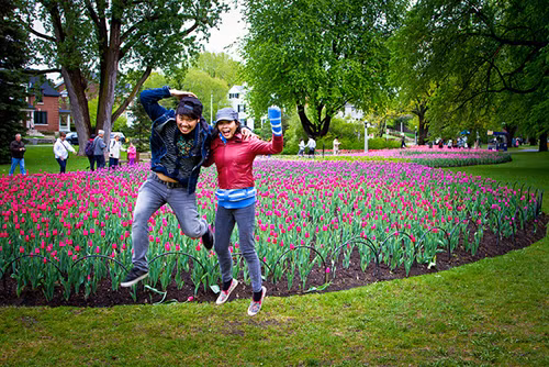 Rực rỡ Lễ hội hoa tulip lớn nhất thế giới ảnh 5