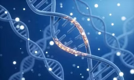 Phát hiện gene liên quan đồng thời đến khiếm thính, tóc bạc ở trẻ em
