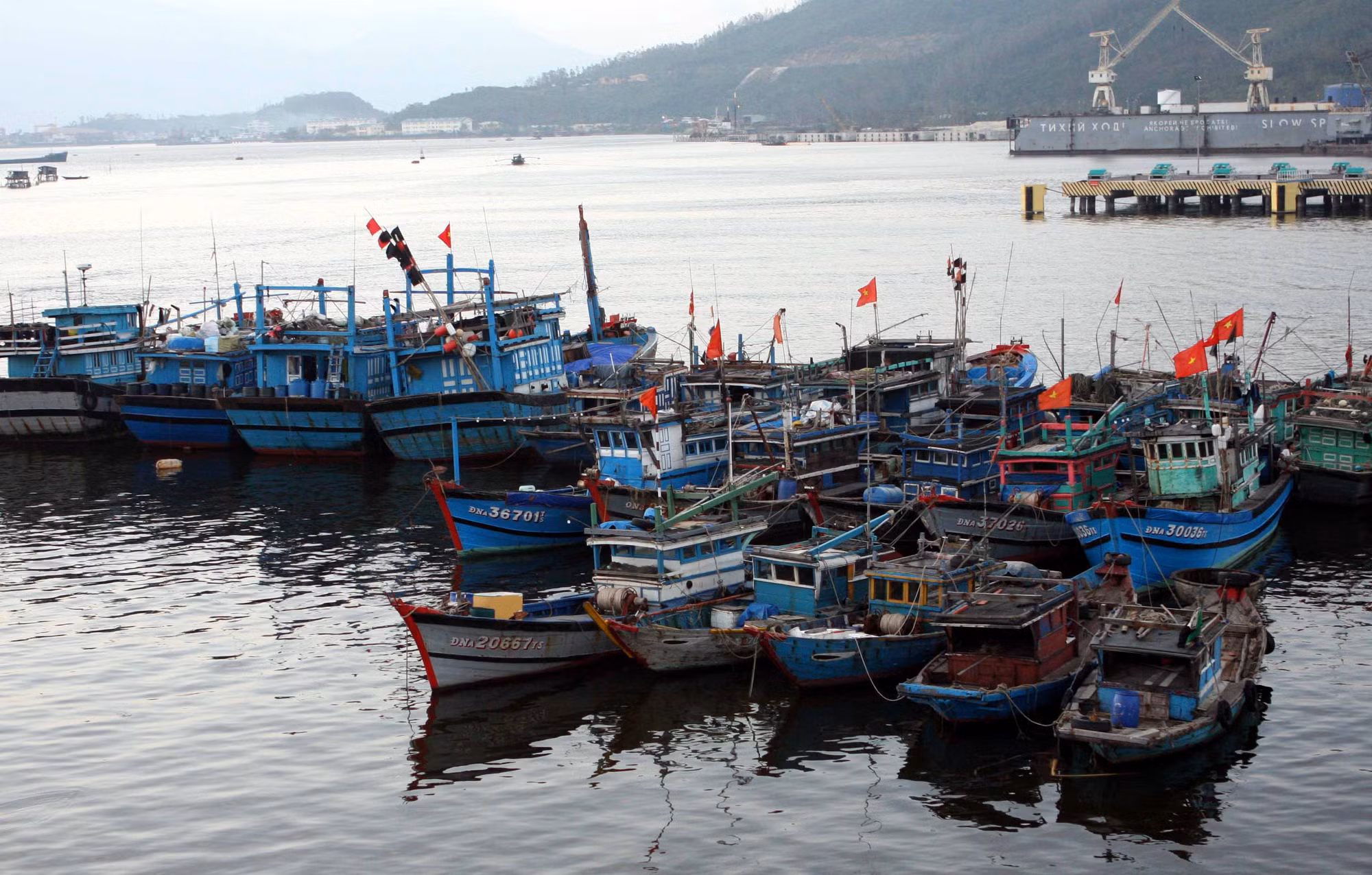 Chủ động ứng phó với các cơn bão mới ảnh 1