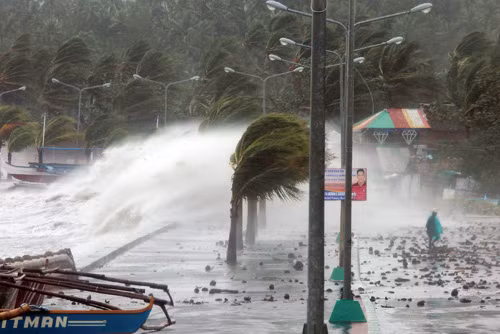 Siêu bão Haiyan càn quét Philippines ảnh 1