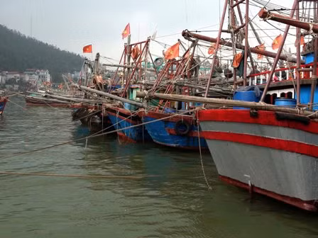 Thanh Hóa: Vẫn còn 140 phương tiện chưa vào bờ ảnh 1