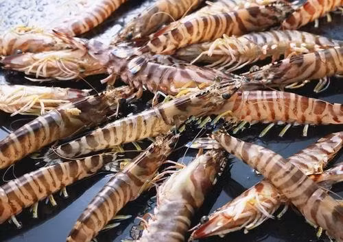 Hàng loạt công ty thực phẩm Nhật Bản lừa dối nhãn mác ảnh 1