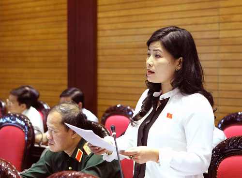 Thu hồi đất cần quan tâm đến đời sống người dân ảnh 1