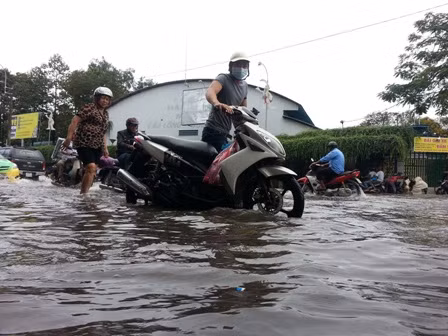 Đường phố TP.HCM chìm trong nước ảnh 2