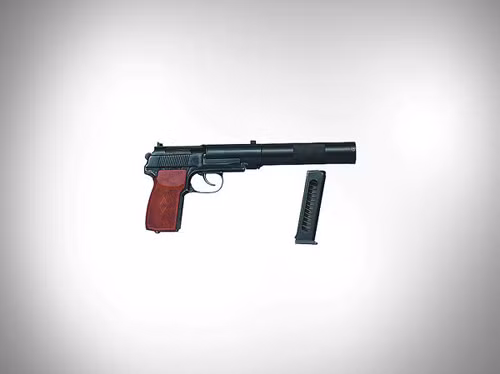 Những 'hậu duệ' tiếp nối uy lực của AK-47 ảnh 8