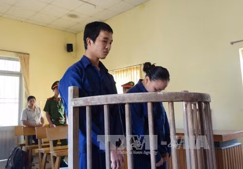 Xét xử vụ "cậu bé đầm tôm" Hào Anh tội trộm cắp tài sản ảnh 1