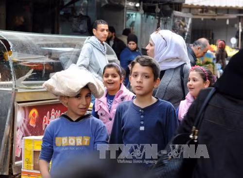 Nga xác nhận vẫn thực hiện lệnh ngừng bắn tại Syria ảnh 1