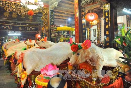 Tưng bừng Lễ hội rước lợn La Phù, Hà Nội ảnh 7