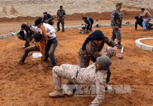 Hội nghị trực tuyến bốn nước về Syria ảnh 1