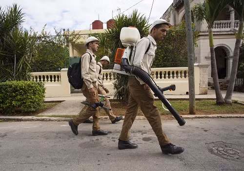 Cuba triển khai 9.000 quân nhân ngăn chặn virus Zika ảnh 1