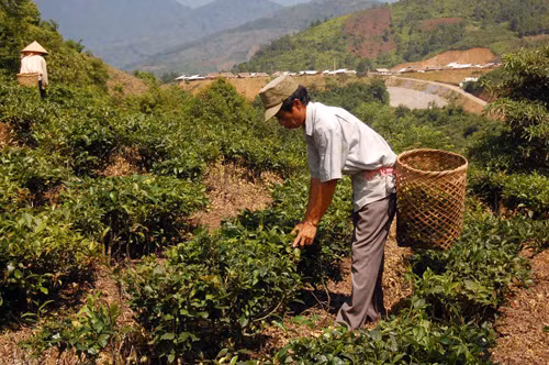 Cùng hành động để “không ai bị bỏ lại phía sau” ảnh 2